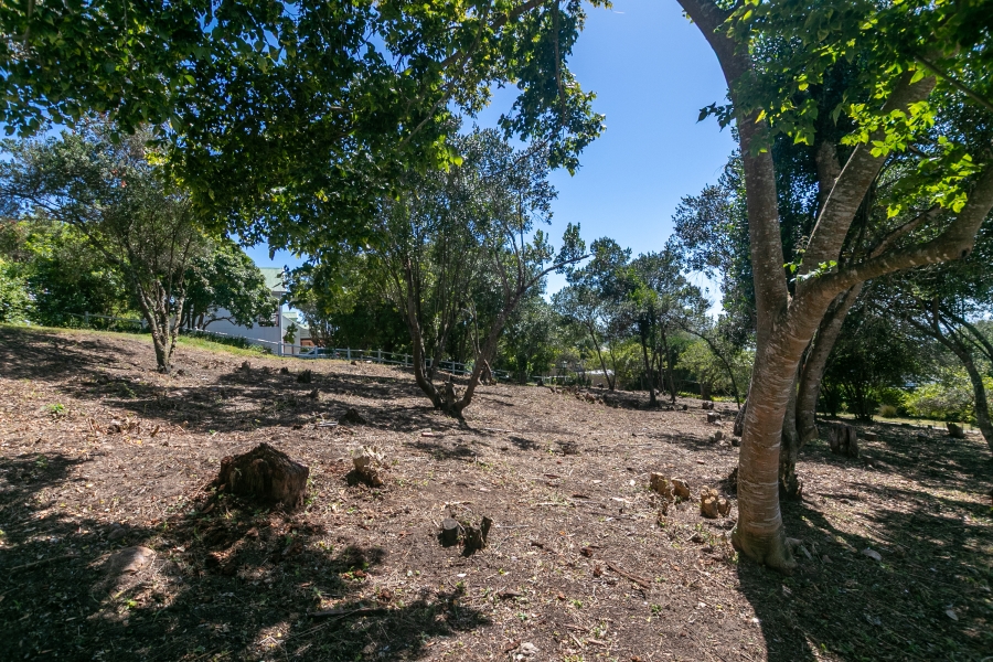 0 Bedroom Property for Sale in Belvidere Estate Western Cape